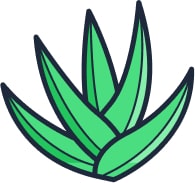 Feuille